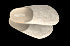 Fulton The House Shoe | Wool & Cork Slip-On Slippers